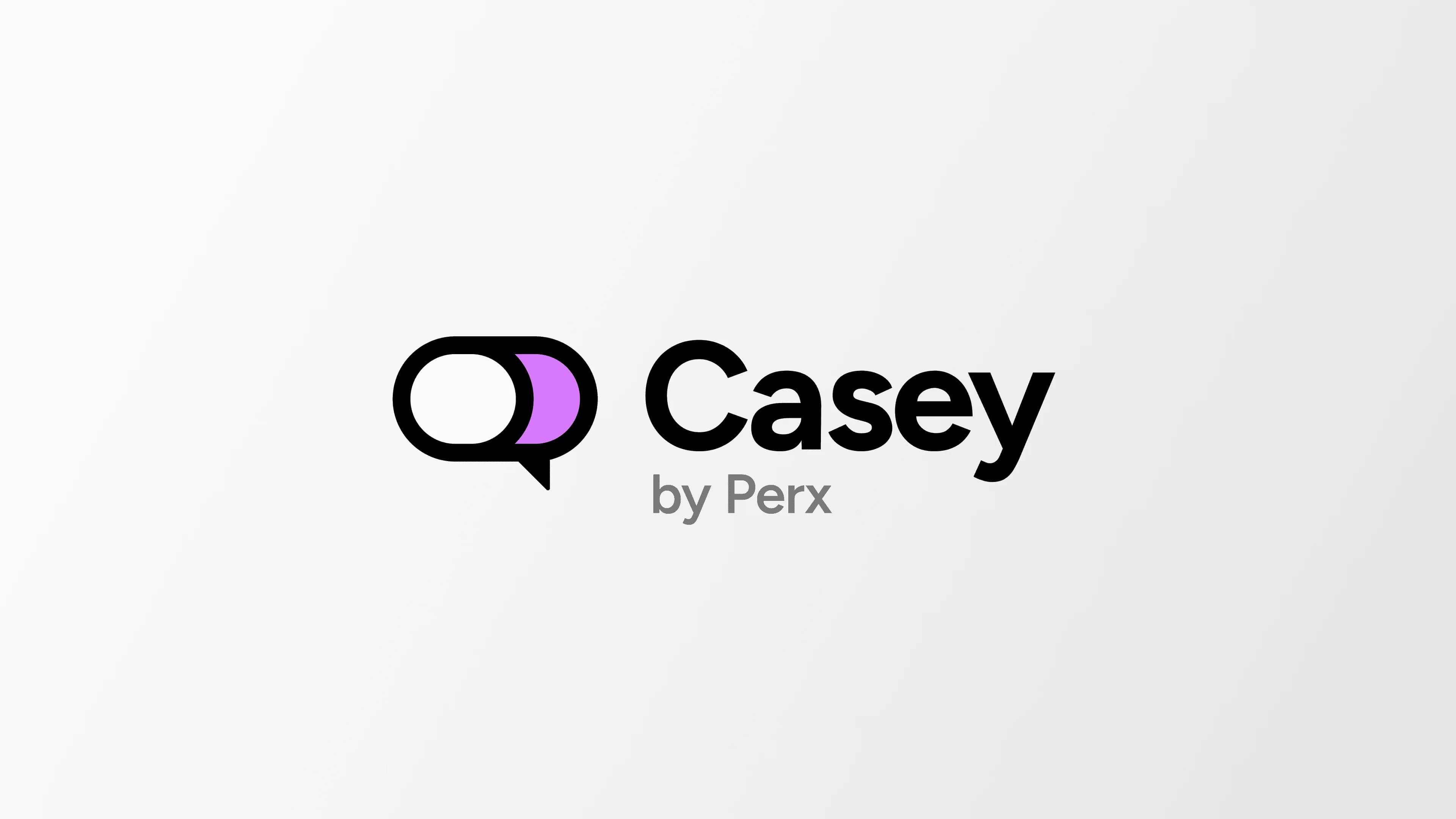 Casey AI